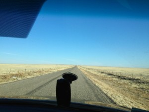The view from my office today.