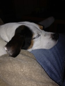 He was happy I'm home too!